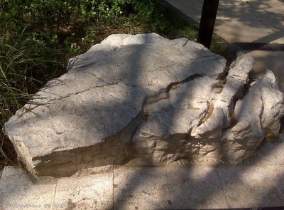 景觀石與假山石的藝術魅力及其在園林設計中的應用