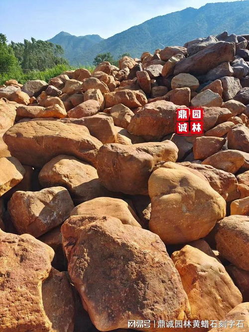 黃蠟石 多面景觀藝術的天然瑰寶