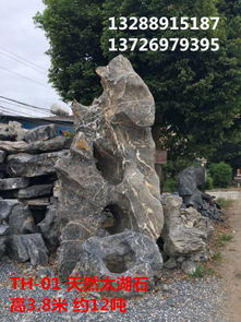 探尋英德市望埠鎮強晟石場 天然太湖石與優質景觀石的瑰麗世界